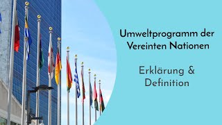 Umweltprogramm der Vereinten Nationen UNEP einfach erklärt  Bedeutung Gründung Aufgaben  Abi [upl. by Pansir]