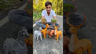 Remote Control Two Horse 🐎vs Deer🦌amp Giraffe unboxing🦒 [upl. by Palua604]