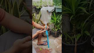 Technique to fix PVC pipe faucet low water pressure shorts [upl. by Adnor]