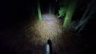 Marin Trail Gwydir Bach Last Section MTB POV Night Ride [upl. by Philbin]