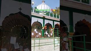 Kar do karam Ki Ek najriya ganje shakar Ke Lal kaliyar Sharif bade imam👍💯🌹🤲loveshortvideos [upl. by Arrais459]