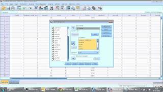 Demo on Logistic Regression using IBM SPSS  Credit Scoring [upl. by Olimreh349]