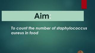 Enumeration of staphylococcus aureus فحص وجود الستاف اوريوس في الغذاء [upl. by Wendi]