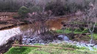 Eagle Point Farmerville LA 2016 Historic Flooding [upl. by Tom]