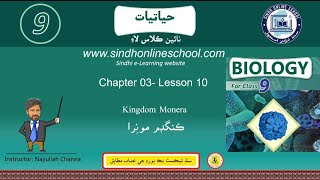 Kingdom Monera  Biology Class 9 Chapter 3 Lecture 10  Sindh Online School [upl. by Swan352]