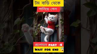 প্রলোভন part 5  টম বাড়ি থেকে পালিয়ে যায়  Bengali story  cat video  MKM Cartoon Tv [upl. by Eeraj]