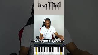 Kelvin Momo Ft YallunderBabalwa M  Sia mzizi  Langaelihle  Piano cover  kelvinmomo amapiano [upl. by Wyck37]