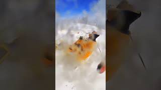 The cheering was on point best extremesport snow snowboardfails [upl. by Yates614]