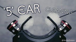 ASMR  99 5 Ear Deep Cleaning 耳掃除귀청소 30mins No Talking [upl. by Ennaillij]