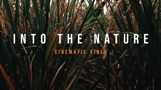 Into the Nature 2021  Cinematic Nature Video B Roll [upl. by Xever549]