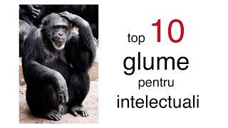 top 10 bancuri pentru intelectuali glume sofisticate [upl. by Adianez]