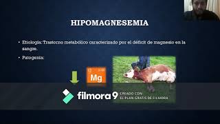 Tratamiento de enfermedades de origen metabólico Hipocalcemia hipomagnesemia e hipofosfatemia [upl. by Anauqahs]