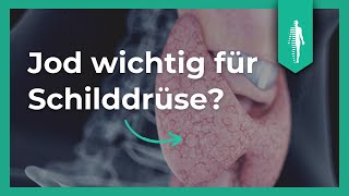 Jod für die Schilddrüse Das solltest Du wissen Nährstoffe  Kyra Kauffmann [upl. by Anuska]