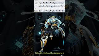 How Kuva Liches amp Sisters of Parvos Work Beginners Guide Warframe Shorts [upl. by Wenger]