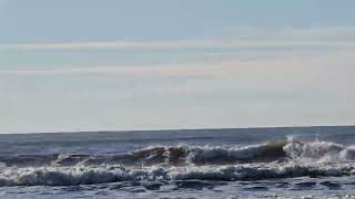 waves at the Ocean Shores beach 1162024 [upl. by Eicram]