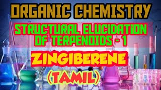 Structural elucidation of Terpenoids1TamilZINGIBERENEAbi Chemistry Tutorial [upl. by Jepum520]