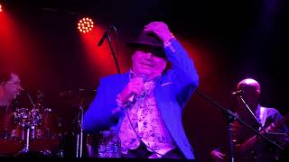 Glenn Shorrock Lady [upl. by Klinges]