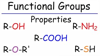 Properties of Functional Groups  Organic Chemistry [upl. by Efthim]