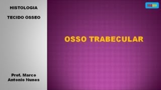 Osso trabecular [upl. by Mandell]