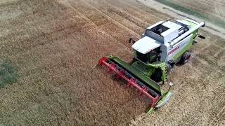 Weizenernte in Rheinhessen mit Claas Lexion 550 Case und Fendt Aufnahme mit Potensic Atom [upl. by Enhpad]