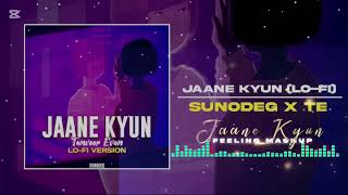 Jaane Kyun Lofi Feeling Mashup  Tanveer Evan  Sidhu Moosewala  B Praak  Kaifi Khalil [upl. by Airasor]