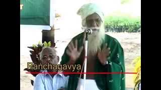 Prepearation of panja kavya  பஞ்ச காவ்யா தயாரிக்கும் முறை [upl. by Yrrehs867]