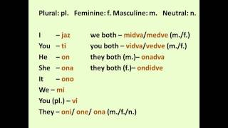 Slovenian lesson 1 [upl. by Nogas]