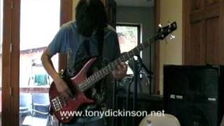 Primus  Wynonas Big Brown Beaver Bass Cover [upl. by Sammy]