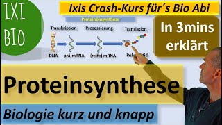 Proteinbiosynthese in 3 Minuten erklärt Transkription Translation Biologie kurz und knapp [upl. by Emmet]