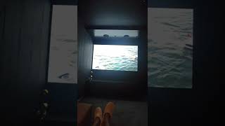 My theatre room tour😍shorts ytshorts interiordesign dream theatre movie home [upl. by Adnohr197]