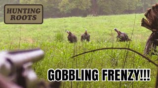 Turkey Hunting in Tennessee  Gobbling Frenzy [upl. by Aniled704]