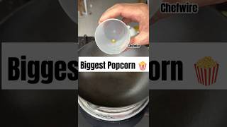 Making biggest popcorn 🍿making popcorn easyrecipe viral foodvideos instagram chefwire [upl. by Boutis]