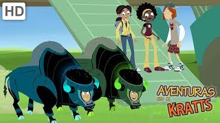 Aventuras com os Kratts  Viver Perigosamente Na Natureza [upl. by Ecal]