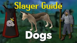 Dog Slayer Quick Guide OSRS [upl. by Huskey513]