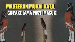 Paling di Cari ‼️ MASTERAN BURUNG MURAI BATU PASTOL LANGSUNG NEMBAK ISIAN [upl. by Terris174]