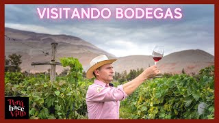 🍇 Visita a la bodega MAJES TRADICION  AREQUIPA  Ruta de las TINAJAS 2022  PERU hace VINO 🇵🇪 [upl. by Rednav]