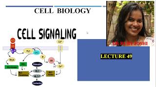 Cell Signaling Lecture49 Cell Biology Mode of Signaling Signaling Dynamics and Network [upl. by Conn]