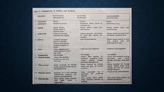 Inter relationship of Hemichordata Urochordata and Ciphalochordata II [upl. by Aidnic993]