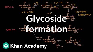 Carbohydrate  Glycoside formation hydrolysis  Chemical processes  MCAT  Khan Academy [upl. by Ettesyl326]