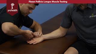 Flexor Pollicis Longus Muscle Test Palpation Dr Vizniak Muscle Manual [upl. by Inahet495]