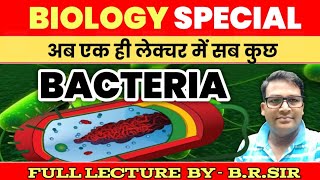 Bacteria one shot  Bacteria full lecture  Bacteria characters classification Nutrition ampImportance [upl. by Nosyk861]