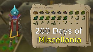 Loot From 200 Days of Miscellania WoW [upl. by Nosirrag]