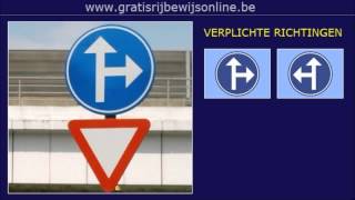 GRATIS RIJBEWIJS ONLINE 23 Rijbewijs B  VERPLICHTE RIJRICHTING  EENRICHTINGSVERKEER [upl. by Avehsile]