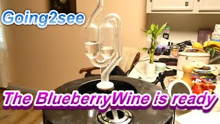 The Blueberry Wine is ready [upl. by Ydnarb]