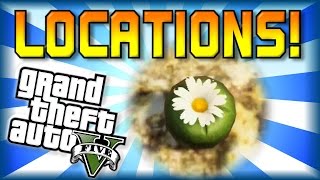 GTA 5  Peyote All Locations Guide Part 1  Become an Animal  First 3 Locations [upl. by Komsa]