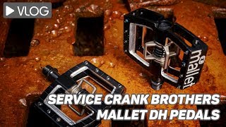 Service Crank Brothers Mallet DH Pedals [upl. by Toland]