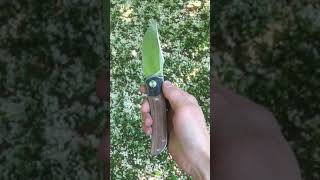 TwoSun TS301 Folding Knife [upl. by Nort424]