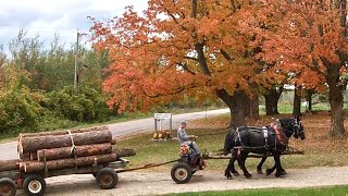 6 Mile Round Trip To Sawmill [upl. by Notyalc221]