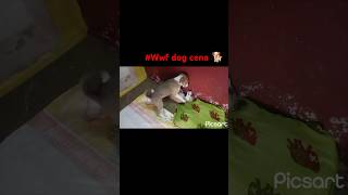 wwf dog Cena 🐶🤜🤛shortsvideo vrialshort tendingshorts tendingshorts wwf John Cena doglover 🤜🤛 [upl. by Alexandra]