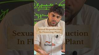 Sexual Reproduction in Flowering Plants  NEET 2025 Biology shorts neet2025 neetpreparation [upl. by Hausmann]